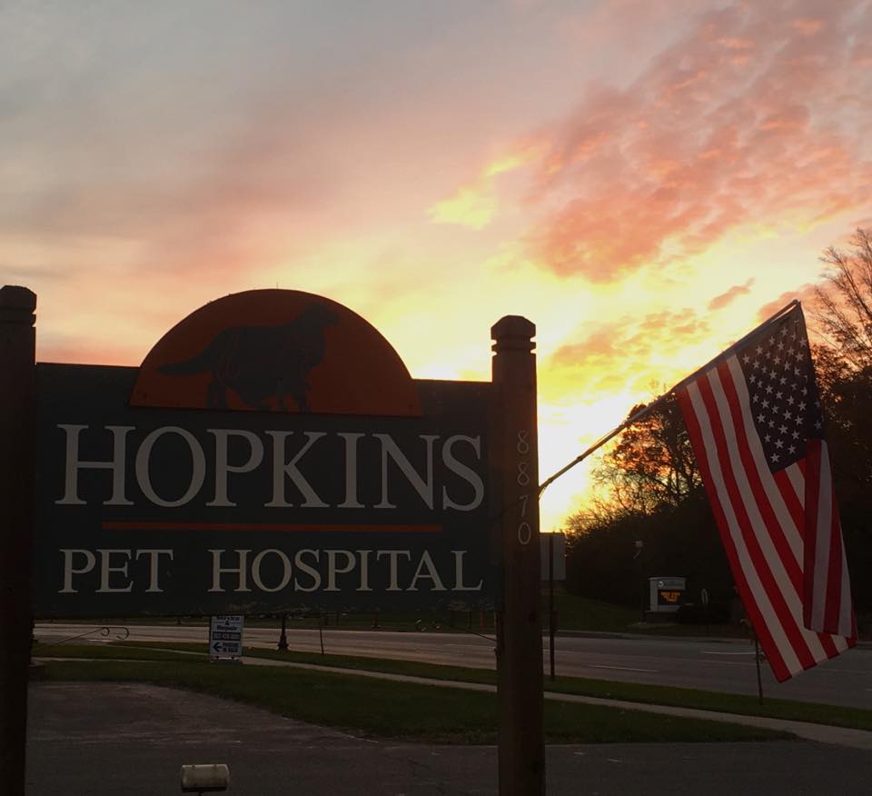 hopkins sign